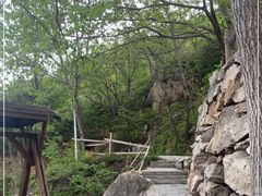 -大岭沟猕猴桃谷风景区