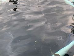 -DGE季风钓虾营地·团建·聚会