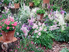 -武汉园博园(武汉自然博物馆)