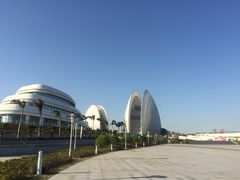 -野狸岛