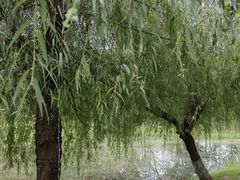 -堤角公园