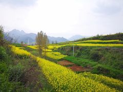 -秦岭风景区