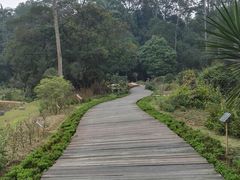 -广西壮族自治区药用植物园