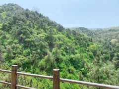 -九如山休闲旅游度假区