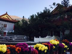 -宝莲禅寺