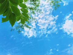 -红山村