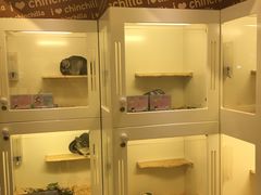 -龙猫仔乐园(惠福东路店)