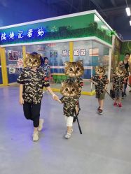 -乐8运动馆·桐语运动乐园(南湖二路店)