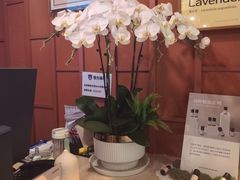 -LANN I 蘭·泰式古法按摩(高岛屋百货店)