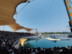 -秦皇岛乐岛海洋王国