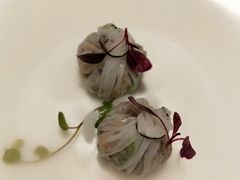 -觀芷隐轩