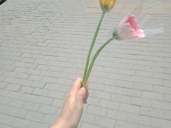 -超市发超市(学院路店)