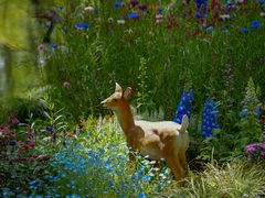 -上海共青森林公园