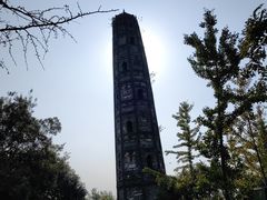 -上海佘山国家森林公园天马山园