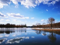 -大兴滨河森林公园