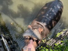 -海南热带野生动植物园