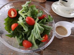 冰草-花溪雨·森林餐厅(石基店)