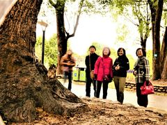 -上海多利农业发展有限公司