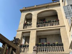 -上海佘山国家森林公园西佘山园