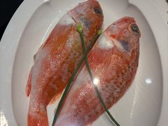 -小厨师·二十年沈家门小海鲜(百井坊巷店)