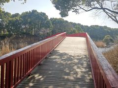 -美兰湖景区