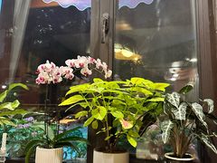 -老井俄式餐厅