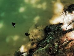 -三门海