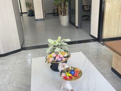 -半岛宠物医院24小时(西派城店)
