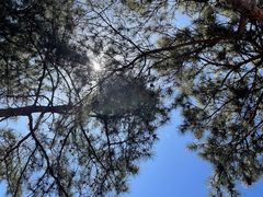 -北京西山国家森林公园