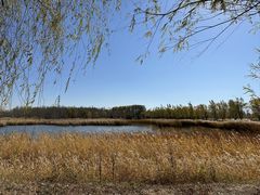 -野鸭湖国家湿地公园