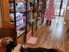 -喵汪宠物生活馆(涞坊路店)