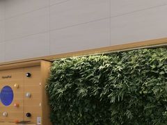 -Apple零售店(苏州店)