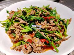 香菜炒牛肉-壹盏灯(蚂蚁工房店)