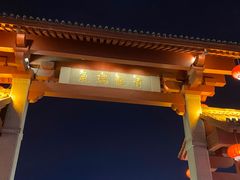 -大雁塔北广场音乐喷泉