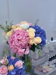 -奥斯芬·欧系贵族SPA