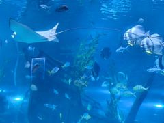 -南昌海洋公园