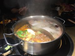 -手选潮汕鲜活牛肉火锅(二七广场店)