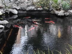 -鲤院·新中式美学·庭院餐厅(夫子庙店)