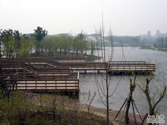 -新江湾城公园