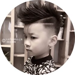 -V-STAR威斯达•高级私人定制