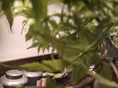 -阿嬷手作(南宁百盛印象城店)