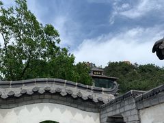 -老张烤羊(王哥庄店)