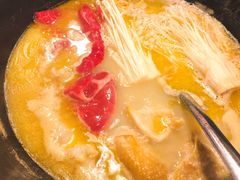 -鲜入围煮花胶鸡海鲜火锅