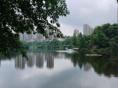 -重庆彩云湖湿地公园