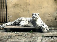 -青藏高原野生动物园