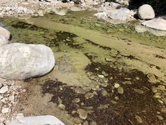 -黑河国家森林公园