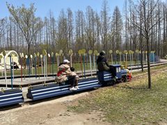 -黄海国家森林公园