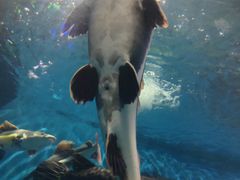 -中南南通体育会展中心