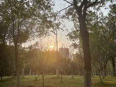-汉江湾体育公园