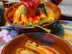 -阳阳老火锅(小南门店)